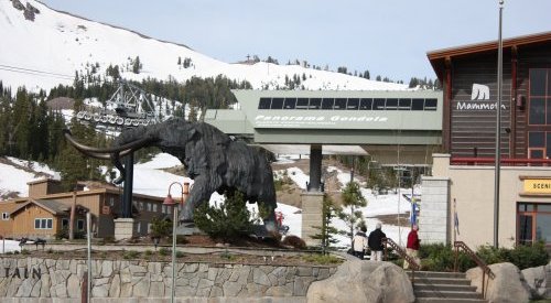 usa_mammoth_1.jpg