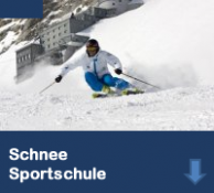 SchneeIncentive