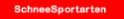 SchneeSportarten