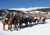 2013 © St. Moritz Polo World Cup on Snow - Copyright (c) Tony Ramirez