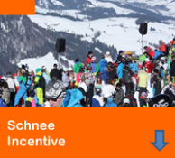 SchneeIncentive