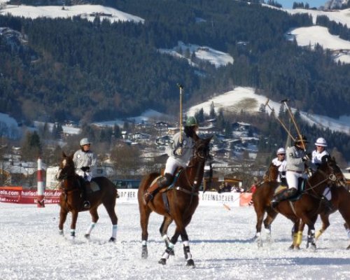 � Schneestation - Aktueller SchneeNewscenter