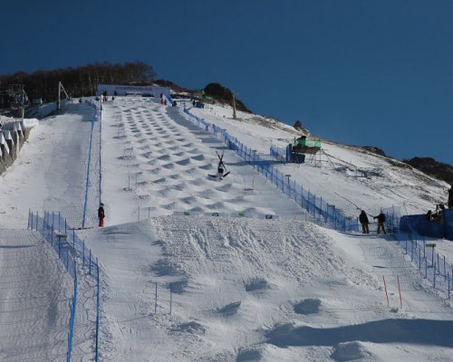 Freestyle skiing World Cup competition in Thaiwoo (CHN). Photo: Mateusz Kielpinski (FIS)