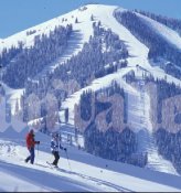 Idaho_SV_Christmas_3.jpg