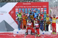 2013  FIS