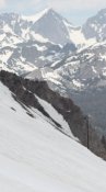 mammoth_1.jpg