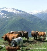 13_07_13_andermatt_1.jpg
