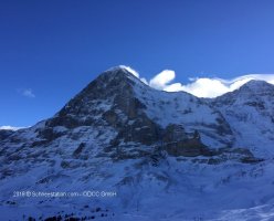 2016_01_15_wengen_lauberhorn_5_800.jpg