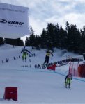 Bilder vom Skicross Weltcup 2011 in Grasgehren