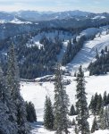 Bilder vom Skicross Weltcup 2011 in Grasgehren