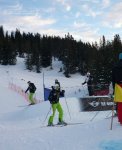 Bilder vom Skicross Weltcup 2011 in Grasgehren