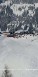 2015_01_31_freeride_fieberbrunn_3.jpg
