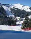 Bilder vom Skicross Weltcup 2011 in Grasgehren