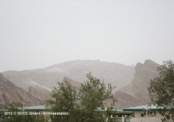 11_04_05_al_ain_8.jpg