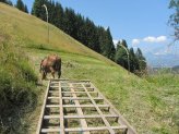 13_07_28_kitzbuehel_3.jpg