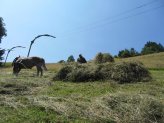 13_07_28_kitzbuehel_2.jpg