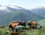 Andermatt - starke Momente!